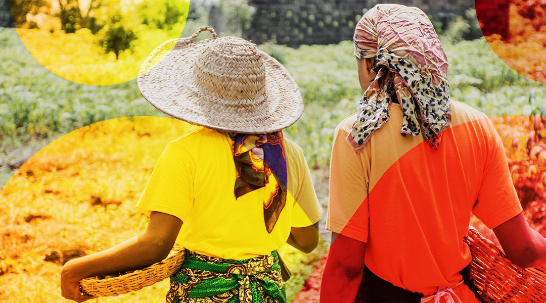 Beyond Compliance: How SLPs Can Drive Real Community Change